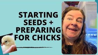 'Video thumbnail for Starting Seeds + Preparing For Chicks Day 2358 Experimental Homesteader'