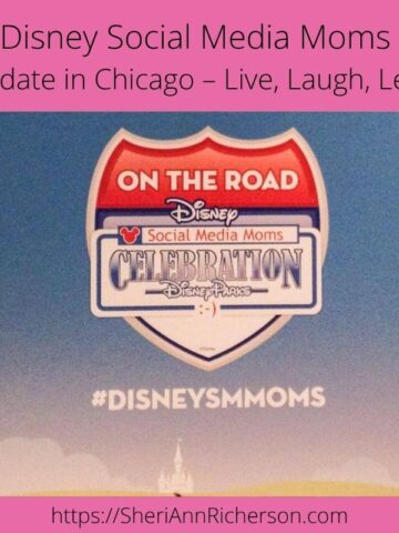Disney Social Media Moms On-the-Road Celebration logo featured at the Chicago Playdate event.