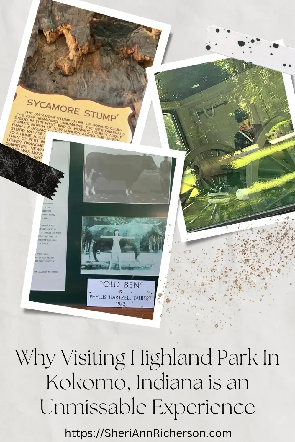 Images taken at Highland Park including old Ben, the canon and the sycamore stump.