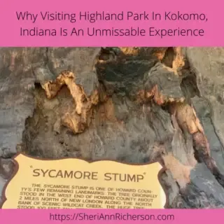 An image of the sycamore tree stump and the sign that goes with it.