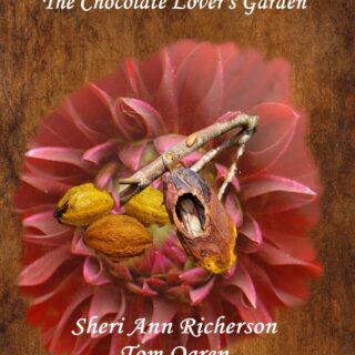 Book cover of The Chocolate Lover’s Garden by Sheri Ann Richerson and Tom Ogren, featuring a Dahlia ‘Arabian Nights’ bloom with cacao pods, one of which reveals a hidden boa.