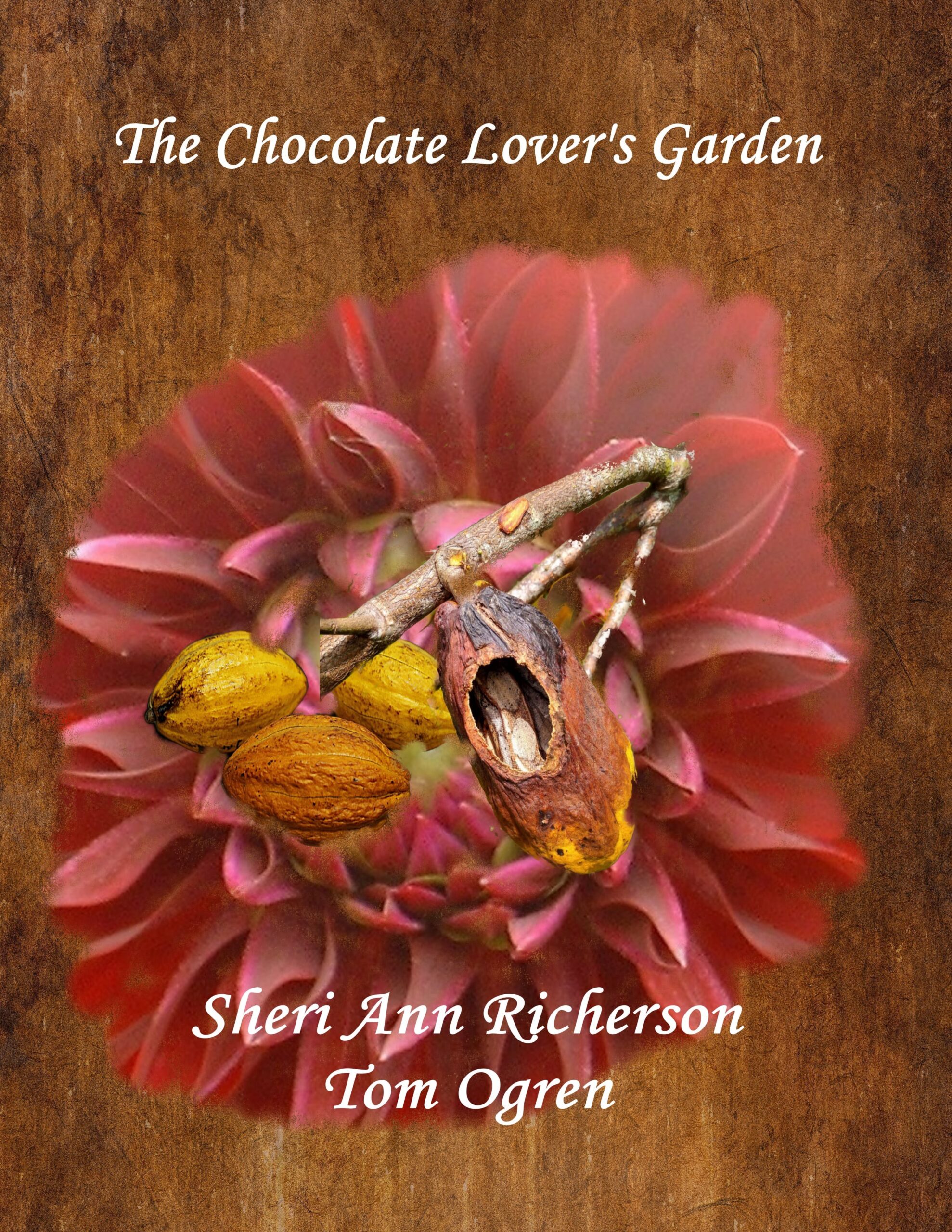 Book cover of The Chocolate Lover’s Garden by Sheri Ann Richerson and Tom Ogren, featuring a Dahlia ‘Arabian Nights’ bloom with cacao pods, one of which reveals a hidden boa.